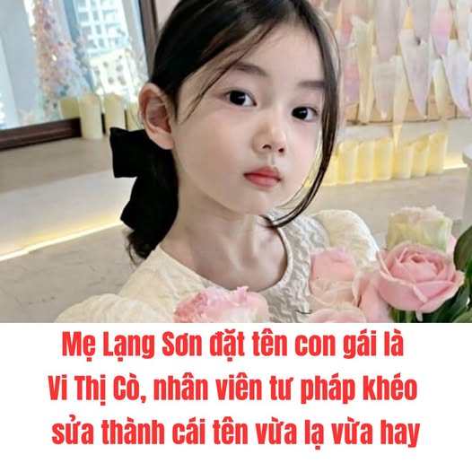 Mẹ Lạng Sơn đặt tên con gái là Vi Thị Cò, nhân viên tư pháp khéo sửa thành cái tên vừa lạ vừa hay