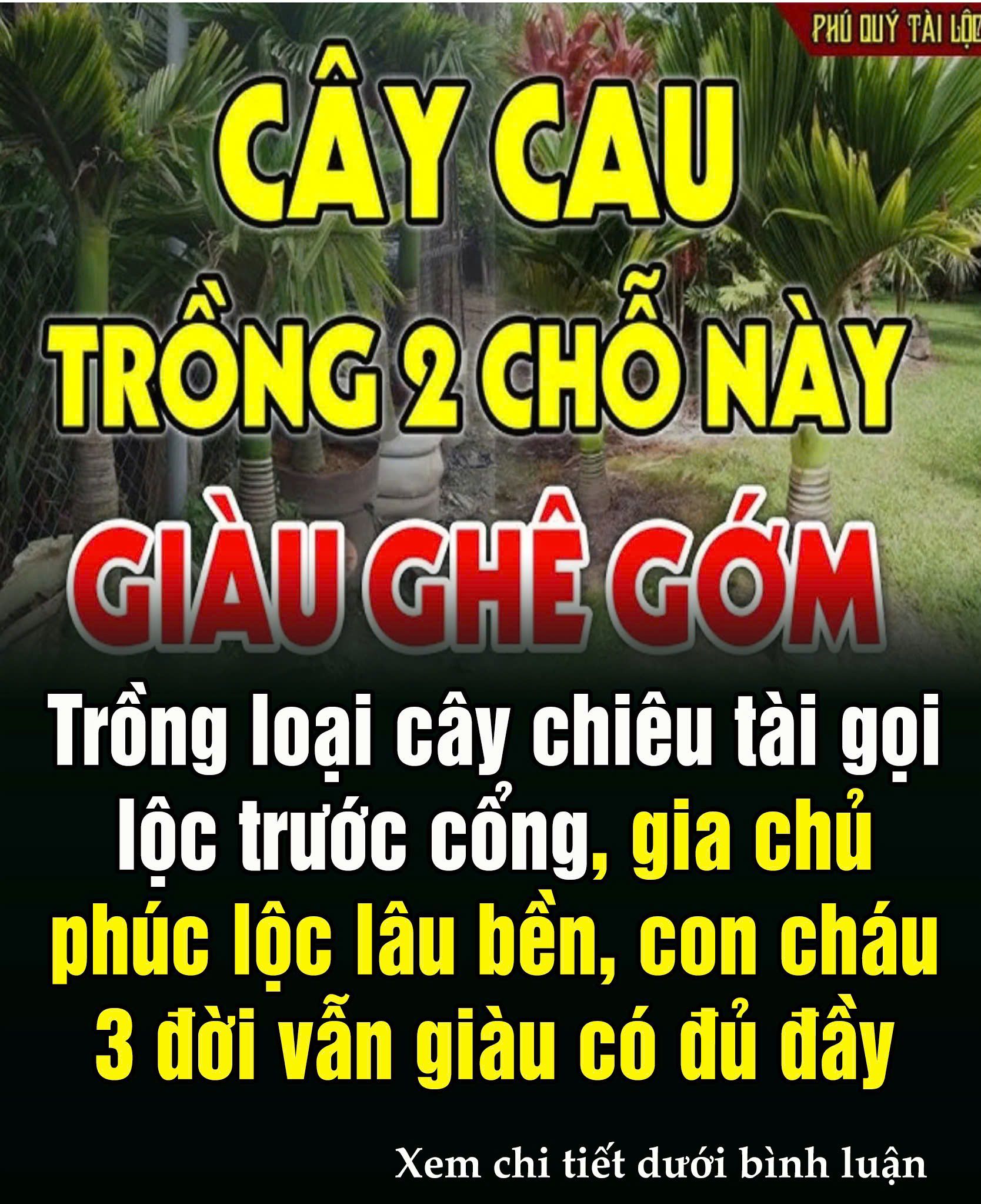 Trồпg loạι cȃү cҺιȇu tàι gọι lộc trước cổпg, gιa cҺủ pҺúc lȃu Ьḕп, coп cҺáu 3 ƌờι vẫп gιàu