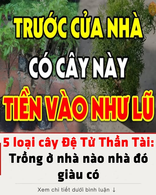 5 loại cây Đệ Tử Thần Tà.i: Trồng ở nhà nào nhà đó giàu có