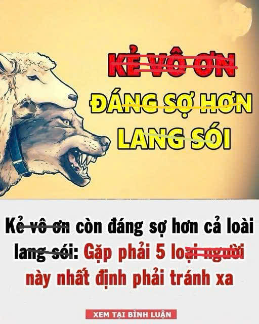 Kẻ v ô ơ n còn đáng sợ hơn cả loài la ng só i: Gặp phải 5 loại người này xungh quanh, hãy cố gắng tránh xa