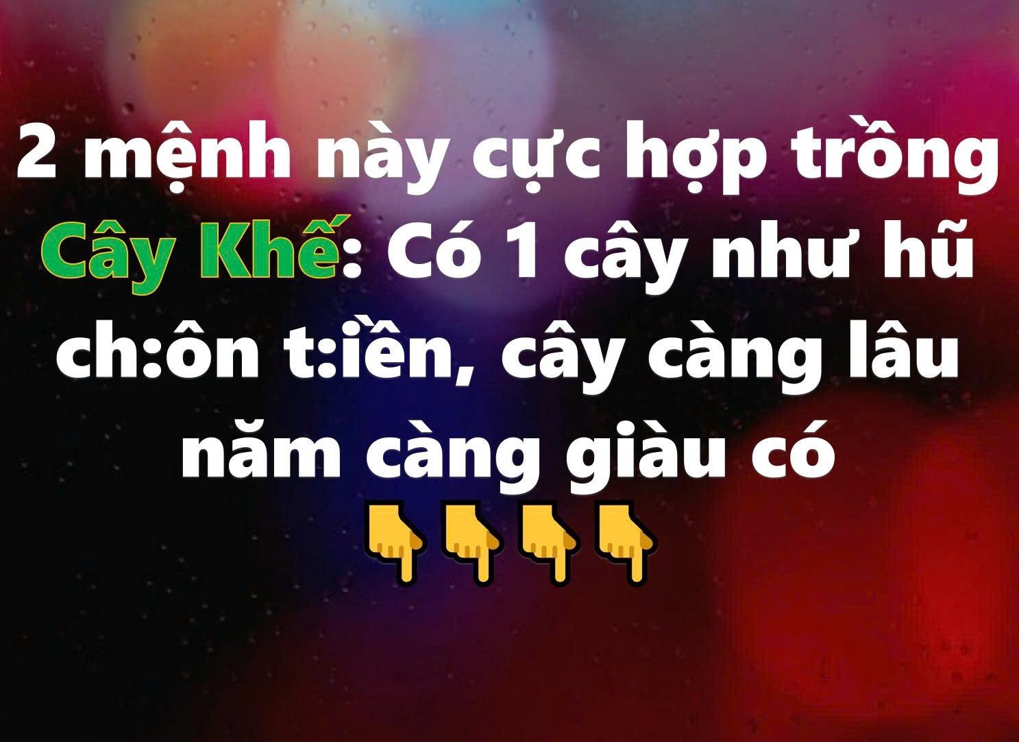 2 mệnh này cực hợp trồng Cây Khế: Có 1 cây như hũ chôn tiền, cây càng lâu năm càng giàu có