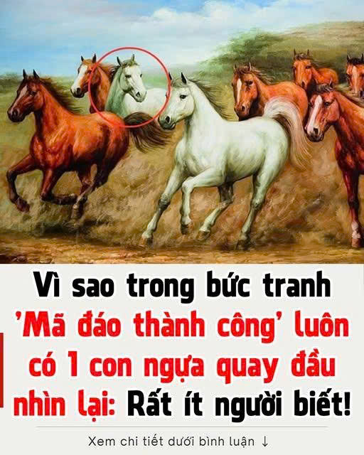 Vì sao trong tranh “M ã đáo thành công” luôn có một con ngựa quay đầu nhìn lại?