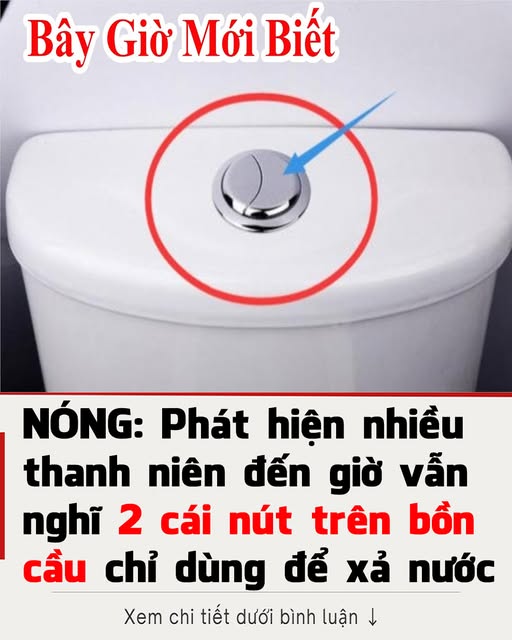 Có đến 2 nút bấm trên bồn cầu, bạn có biết công dụng từng nút không?