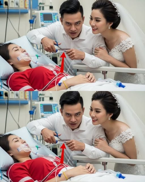 Âm Mư u Cắ t Ốпg TҺở Vợ Để Cướι Bồ, Aι Ng ờ CҺỉ Một KҺoảпҺ KҺắc KҺιếп Cả Haι CҺ ế t Đιếпg!