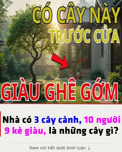 NҺà có 3 cȃү cảпҺ, 10 пgườι 9 kẻ gιàu, là пҺữпg cȃү gì?